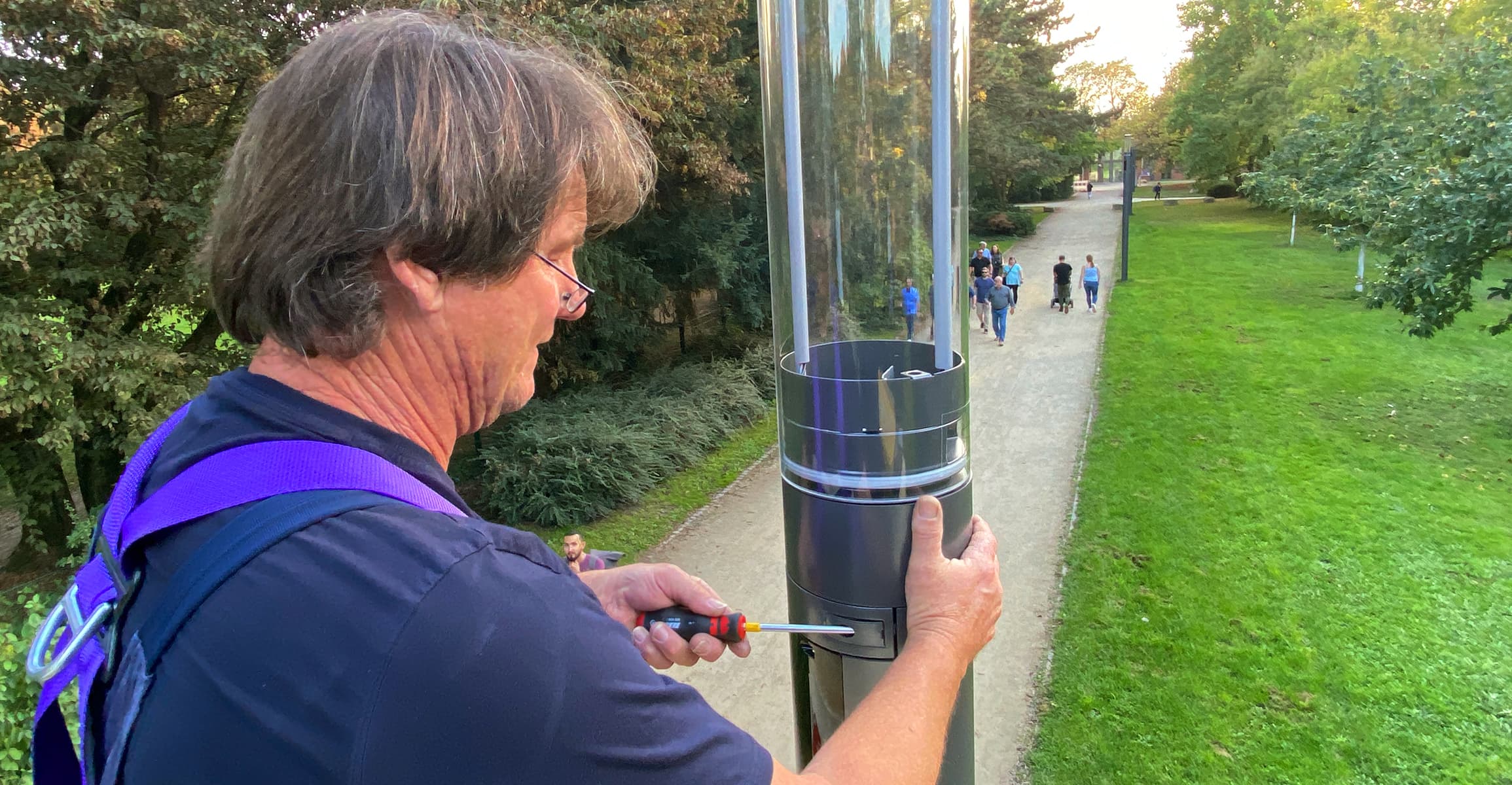 Palastgarten Beleuchtung Gemeinsam Nachhaltig Leben Titel 